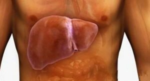 Çağın En Büyük Derdi Karaciğer Yağlanması Nasıl Geçer?