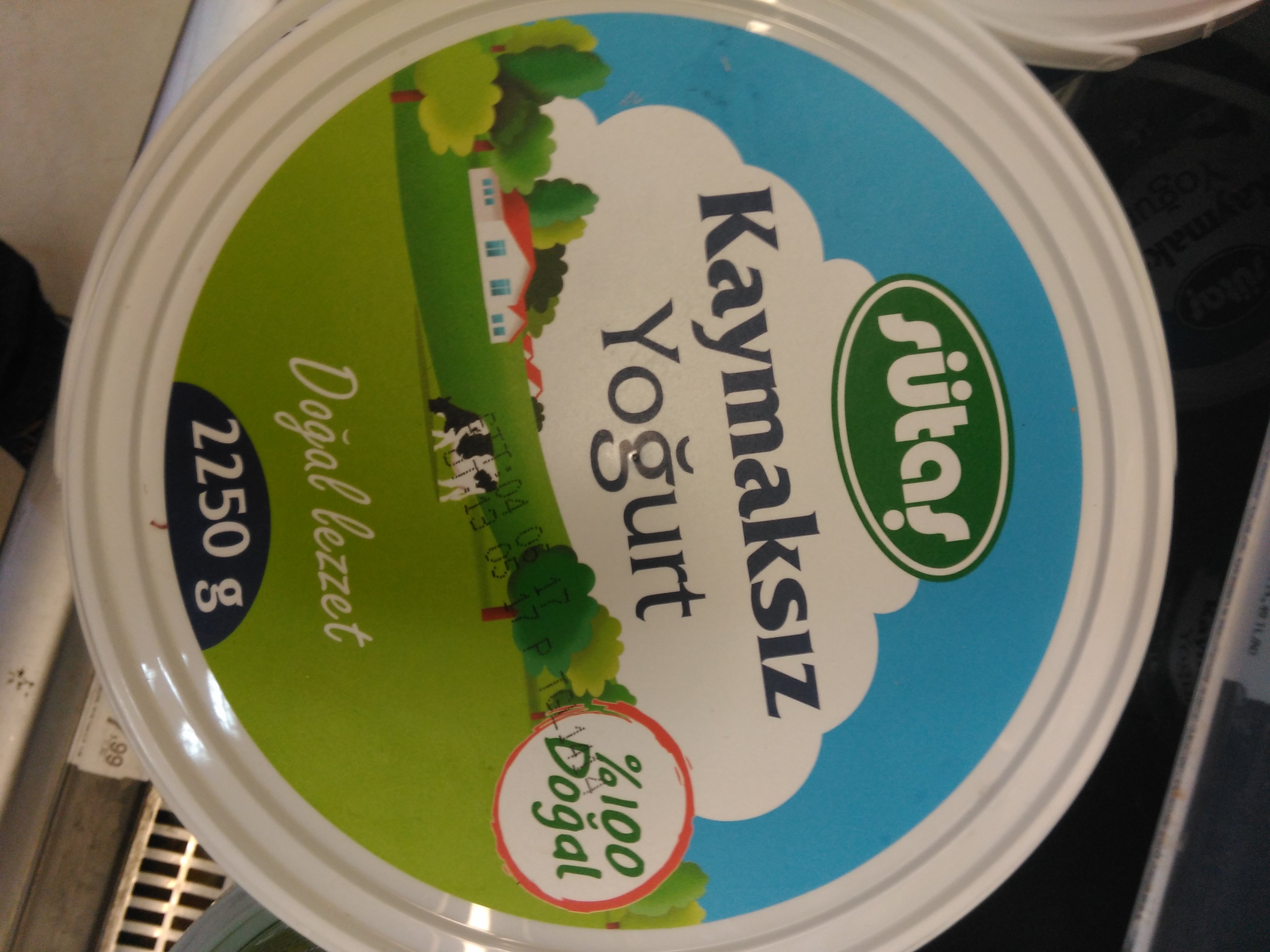 sutas-pastorize-yogurt