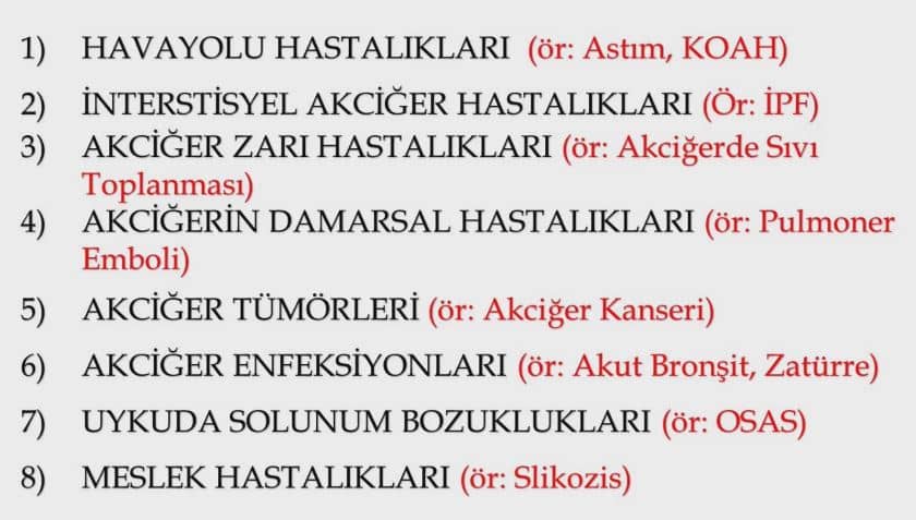 turkiyenin-en-iyi-gogus-hastaliklarprofesorleri